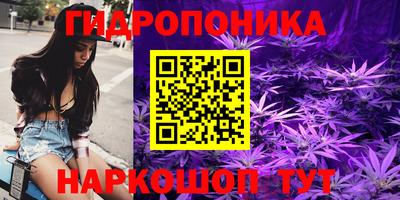прущая мука Кимры